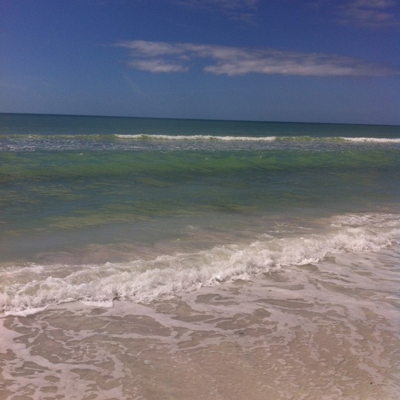 Meet your Posher, Patti - Picture 1 of 1